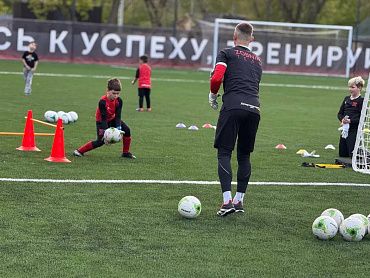 Развитие реакции в игре